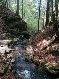 Fotografie z Dagmar Hofer na trase