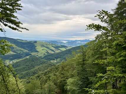 Foto de Natur_erleben_dg a lo largo del recorrido