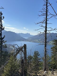 Zdjęcie z Manuel Leitner wzdłuż trasy