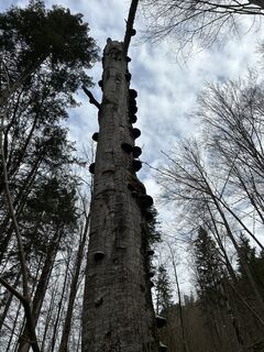 Foto von Peter maurer entlang der Tour