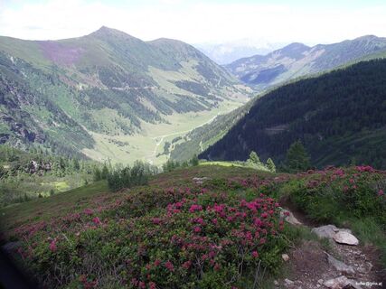 spateck (2.256 m) und schusterstuhl (2.216 m) - gipfeltour vom sattental_img_14624644