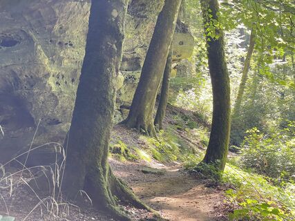 Photo de Gloop le long du parcours