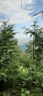 Photo de Monika Dutzler le long du parcours
