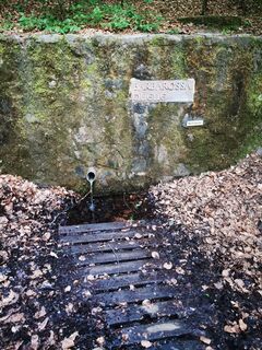 Foto von Sandris Grīviņš entlang der Tour