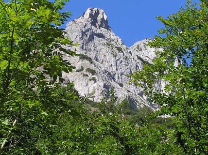 Zur Sonnschienalm