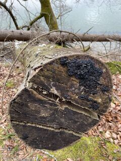 Foto von Markus Barthuber entlang der Tour