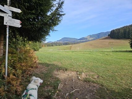 Foto de Elke Müller 1 a lo largo del recorrido