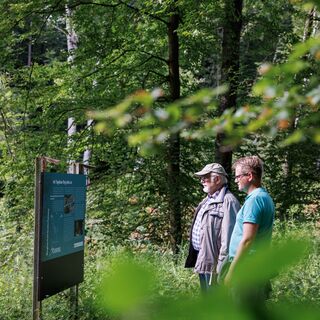 Im Tagebau fing alles an