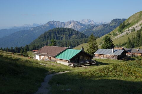 Photo de Skip le long du parcours