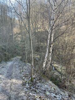 Photo de MarijkeL le long du parcours