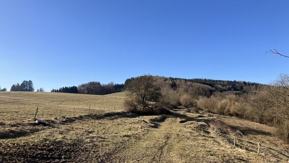 Fotografia z Christian Kakuska na trase