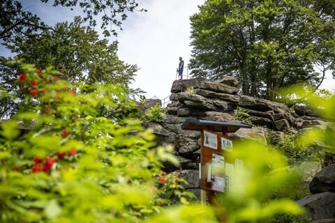 Hochstein, Luchsenburg