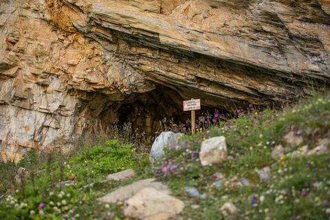 Grotta dell'apice'edelweiss