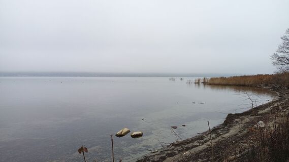 Fotografie z Britta Becker na trase