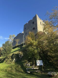 Photo de brosensteiner le long du parcours