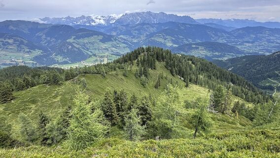 Photo de Mountain Cat ? ⛰️ le long du parcours