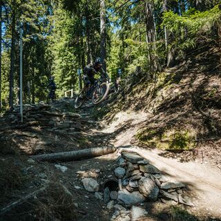 PROlitzen Trail