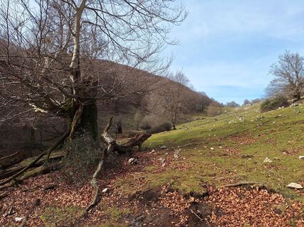 Foto de Gianfranco zupancich a lo largo del recorrido