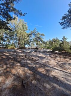 Photo de Franzis Schrammel le long du parcours