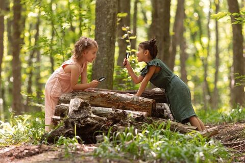 Kinder entdecken den Wald