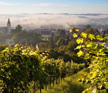 Herbststimmung über Hartberg