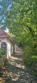 Fotografie de la Hans Boria de-a lungul turului