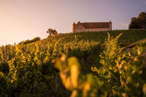 Burg Stettenfels |  Untergruppenbach | HeilbronnerLand