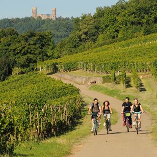 Château du Haut-Andlau