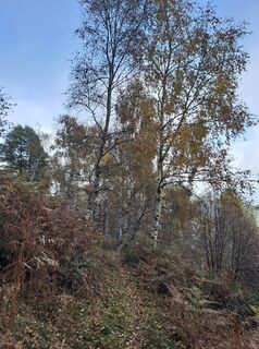 Foto de Greg+Lisa a lo largo del recorrido