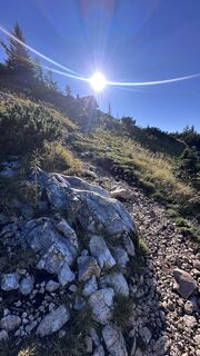 Foto von Mountain Cat ? ⛰️ entlang der Tour