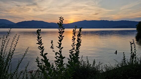 Foto de Ernst Brezina a lo largo del recorrido