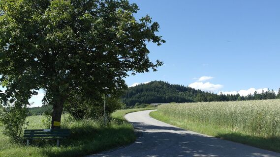 Toberspitzweg