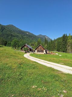 Foto de Dagmar Hofer a lo largo del recorrido