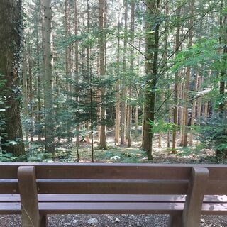 Ruhebank im Wald