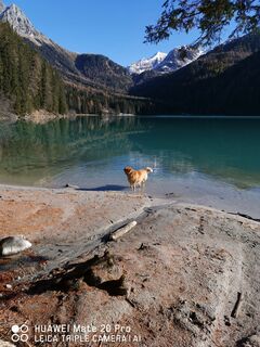 Fotografia z Mario Augustini na trase