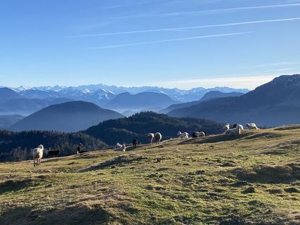 Foto von Sven Krieblin entlang der Tour