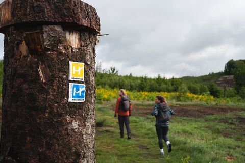 Zwei Wanderer auf dem Fickeltünnesweg