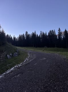 Foto von Maximilian Wolter entlang der Tour