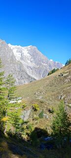Fotografija s spletne strani Nicoletta Carminati na poti
