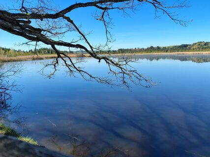 Fotografija s spletne strani Uta Willmann na poti