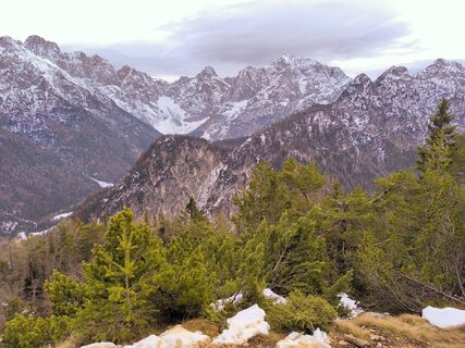 Photo de Darija Forgač le long du parcours