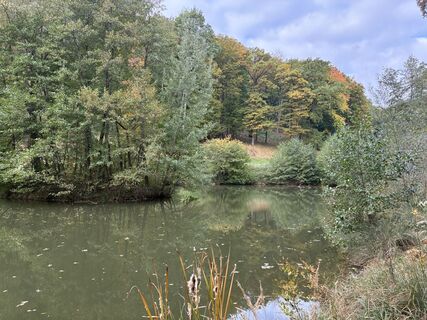 Photo de Martin1967 le long du parcours