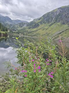 Foto von Miriamhaferkamp entlang der Tour