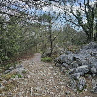 Foto von veronic26 entlang der Tour