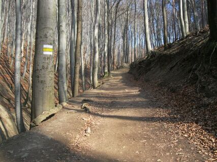 Hameau - Liesing