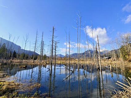 Foto von Michi Steiert entlang der Tour