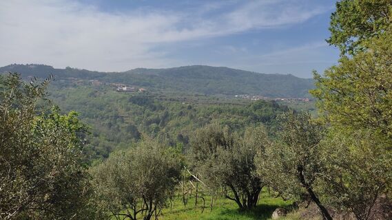 Fotografia z WilliSt na trase