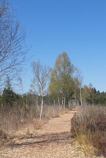 Zdjęcie z Ingeborg Maislinger wzdłuż trasy
