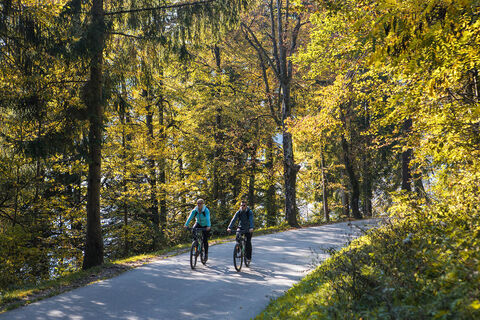 Radfahren am Bleder See
