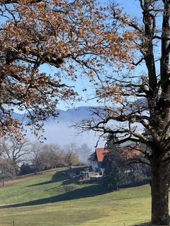 Foto de Denise Miller a lo largo del recorrido